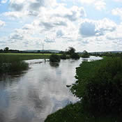 River Rye at Howe Bridge